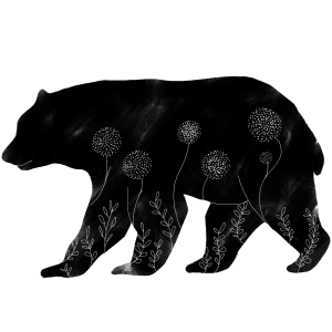 Oso