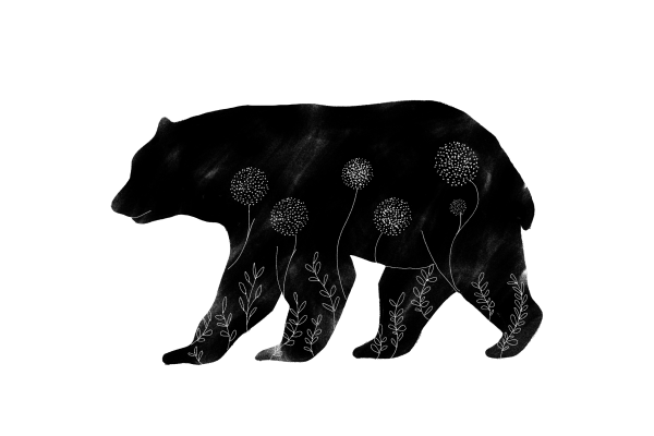Oso
